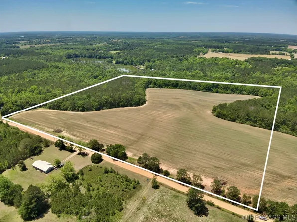 County Road 734, Chancellor, AL 36316