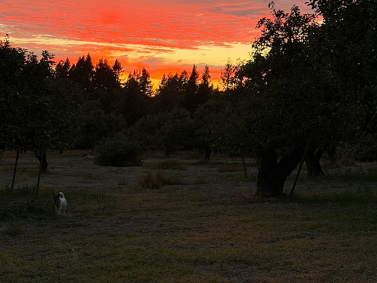 Wondrous sunsets.