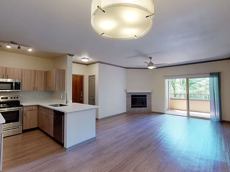 Apartment kitchen with stainless steel appliances, dining and living room with wood-style flooring, fireplace and balcony.