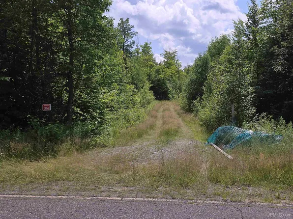 13856 Section 16 Rd, Covington, MI 49919