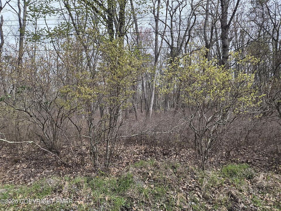 1st image of LOT 20 Big Oak Rd