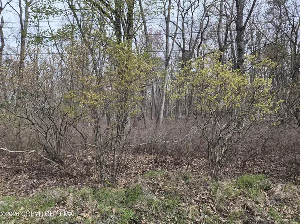 LOT 20 Big Oak Rd, Canadensis, PA 18325