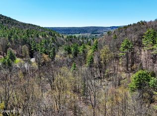 L19 Mary Taylor Rd, Middleburgh, NY 12122