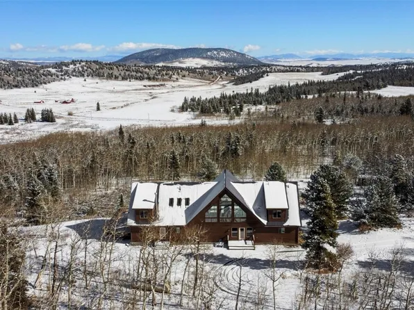 70 Sheep Creek Trl, Fairplay, CO 80440