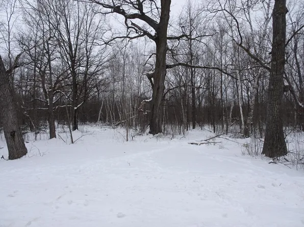 150th St, Milltown, WI 54858