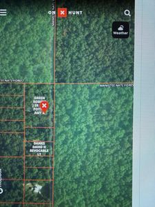 10717 N Java Rd, Irons, MI, 49644