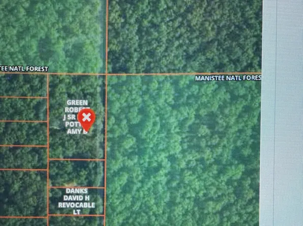 10717 N Java Rd, Irons, MI 49644