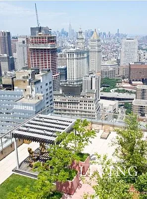 Rented by NY Living Solutions | media 7