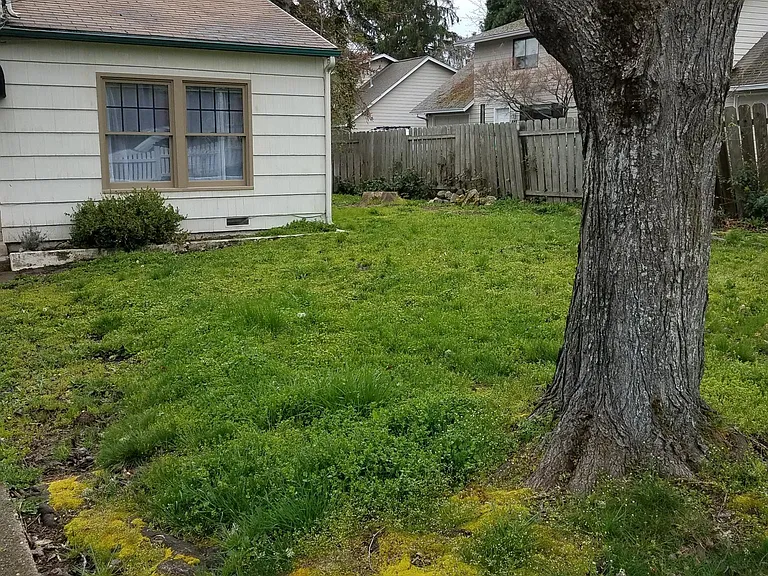 678 Normal Ave — Photo 45