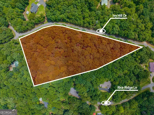 7 Ivy Hills Dr, Cleveland, GA 30528