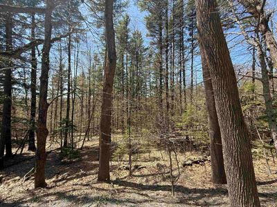 Lot 3 North Street, East Dover, VT, 05341