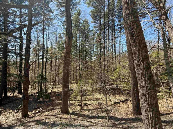 Lot 3 North Street #45, Dover, VT 05431