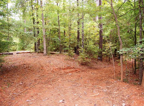 3rd image of 8016 Magnolia Falls Ct