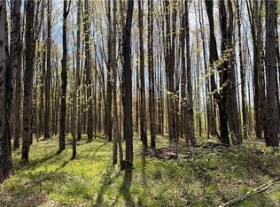 California Rd, Williamsfield, OH 44093