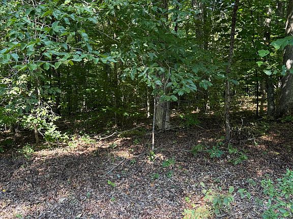 3rd image of Thompson Rd