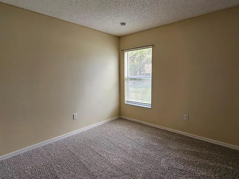 10368 Lansfield St — Photo 26
