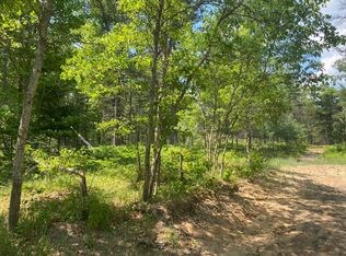 Chicago Blvd, Grayling, MI 49738