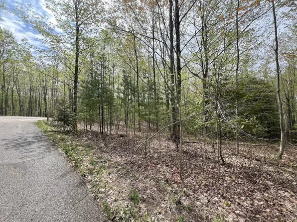1275 Lone Oak Ct, Petoskey, MI 49770