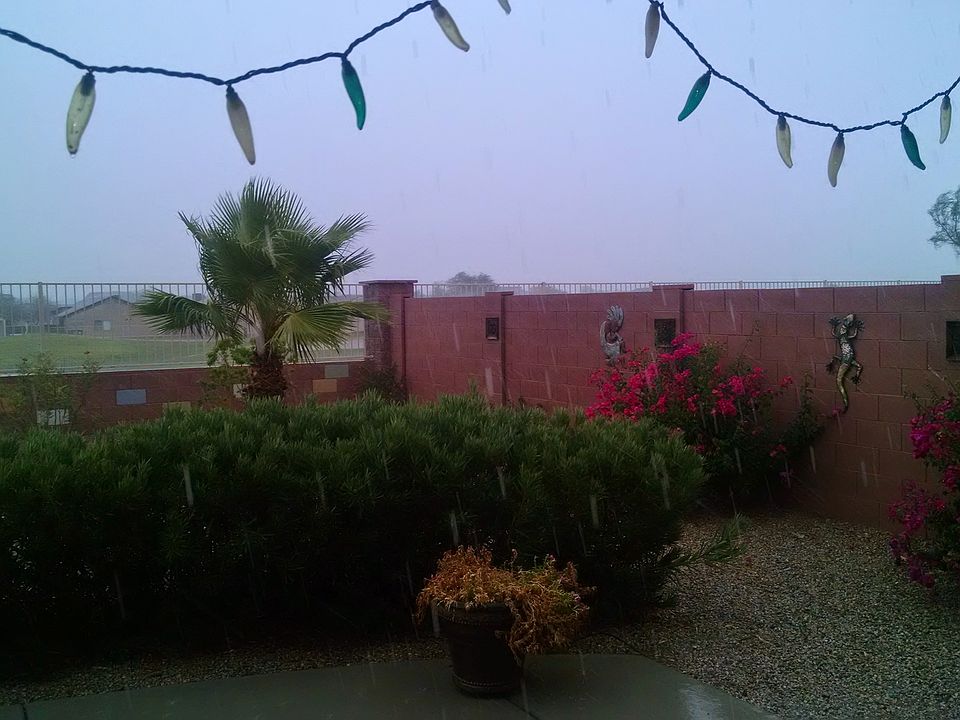 2nd image of 23807 N Oasis Blvd