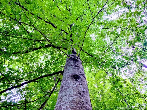 1 Newtown Rd, Newtown, VA 23126