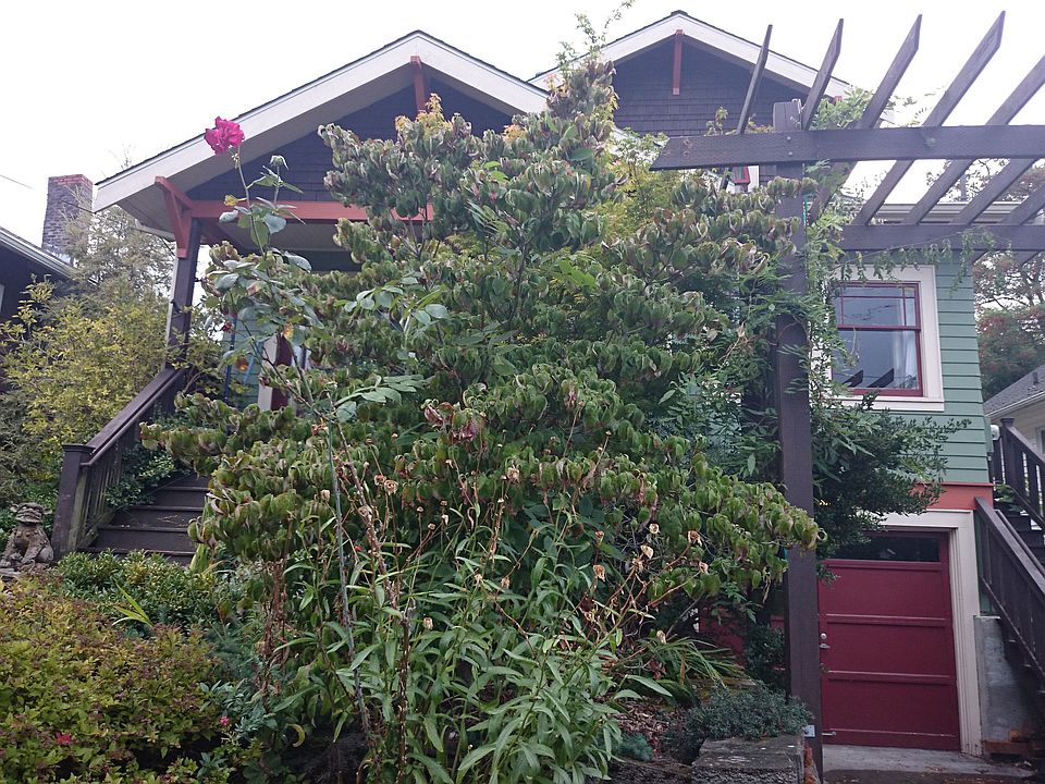 2nd image of 5317 46th Ave S