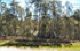 1st image of 24167 Melaine Ln