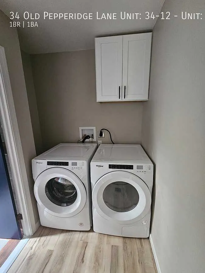 1 bed, 800 sqft, $1,800 — Photo 3