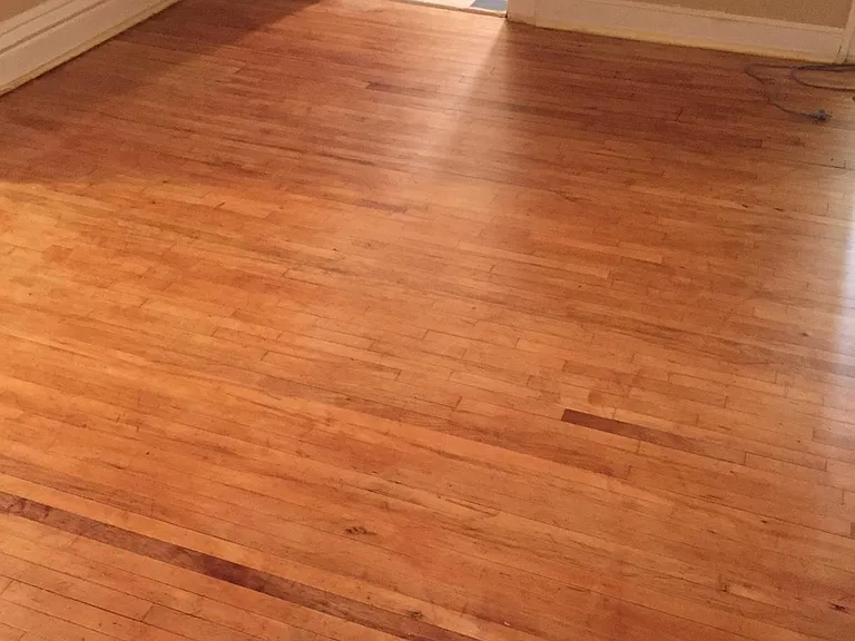409 Ashland Ave #9 — Photo 15