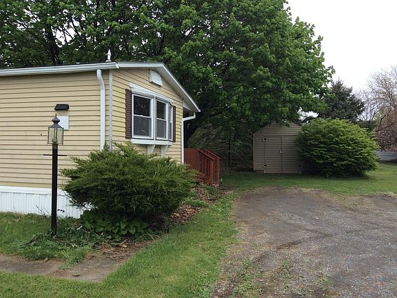 View of the 10 x 10 shed