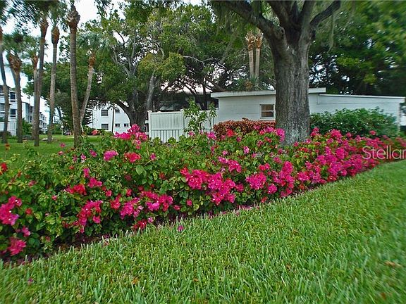Join the Garden Club if you want to train your green thumb for 2020!