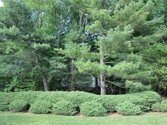 3rd image of 380 Pleasant Hill Dr