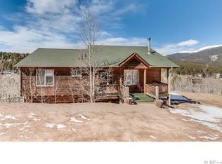 203 Gold Flake Ter, Bailey, CO 80421