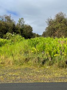 18-2017 Pua St, Volcano, HI, 96785