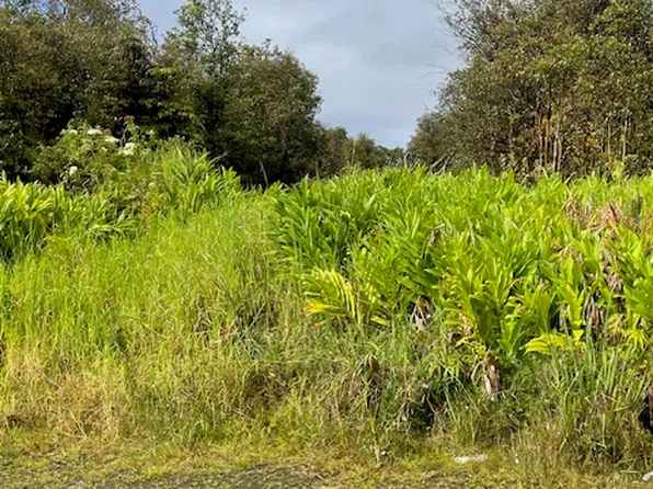 18-2017 Pua St Lot 745, Volcano, HI 96785