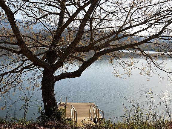2nd image of 9 Beech Cove Vistas