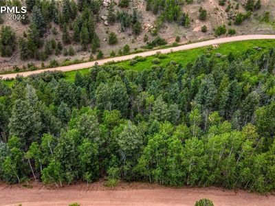 762 Little Topsey Dr, Cripple Creek, CO, 80813