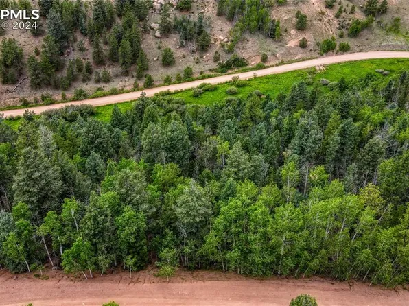 762 Little Topsey Dr, Cripple Creek, CO 80813