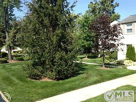 2013-08-25 15.43.59.jpg