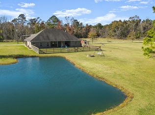 14913 Lewis Rd, Maurepas, LA 70449