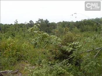 2nd image of 1101 Miles Bowman Rd