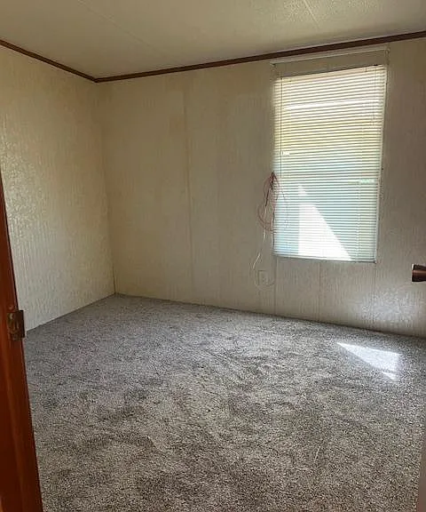 179 Cinnabar Ln — Photo 15