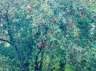 22451 Alpine Dr, Peterson, MN 55962