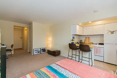Lincoln Park Living! Photo 1
