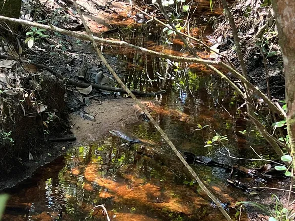 LOT 6 W Plympton Rd, Laurel Hill, FL 32567