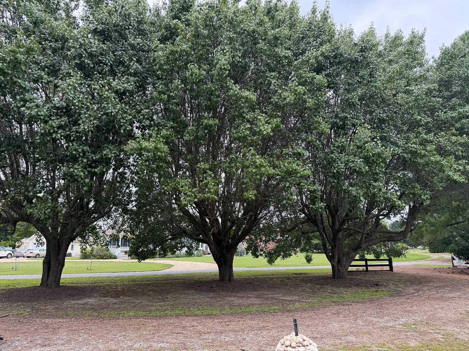 4 bed, 2496 sqft, $2,600 — Photo 3