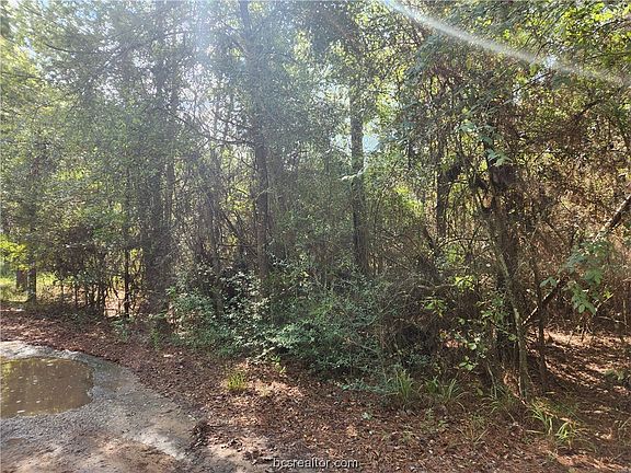 5th image of LOT 8 Hoptree Ln