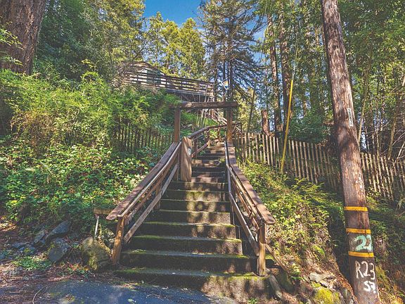 2nd image of 9085 Middle Terrace