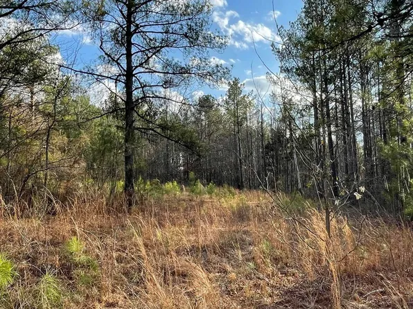 55 County Road 976 #2, Jemison, AL 35085