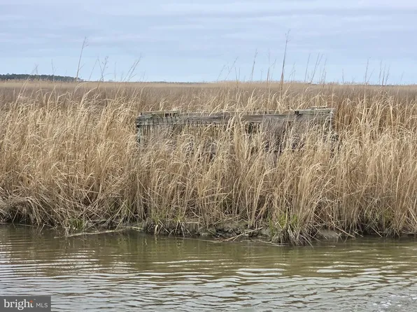 Duck Sika & Waterfowl Muskrat Hbr, Crapo, MD 21626