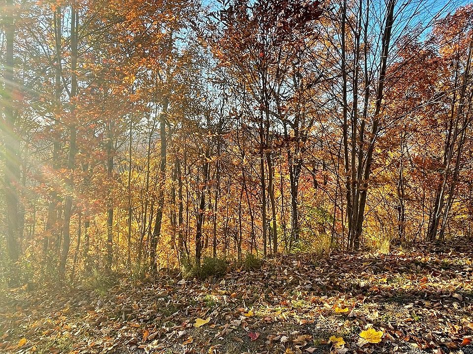 2nd image of LOT-58M Ridges Overlook